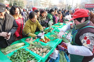 平價惠民，新鮮蔬菜零售助力健康生活